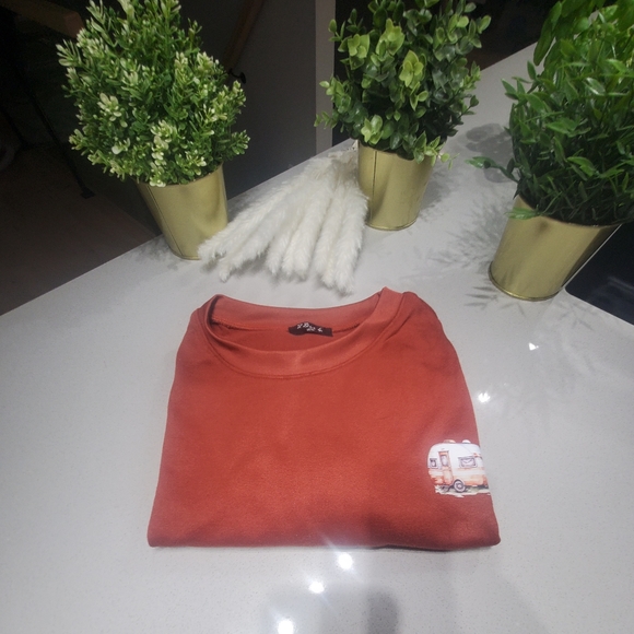 2 DYE 4 Très beau hoodie crewneck orange brûlé avec motif camping au devant - Picture 6 of 6